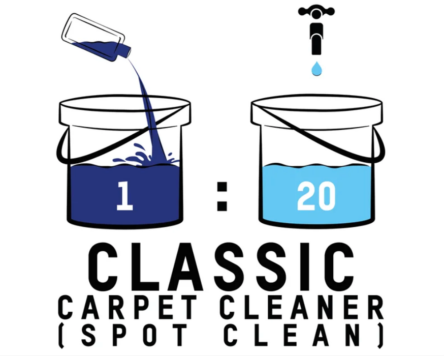 Valet Pro Classic Carpet Cleaner